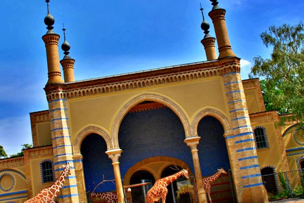 Grădina Zoologică din Berlin este cea mai mare grădină zoologică din lume grădină zoologică