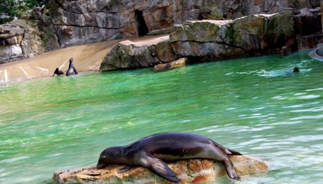 Grădina Zoologică din Berlin este cea mai mare grădină zoologică din lume mare