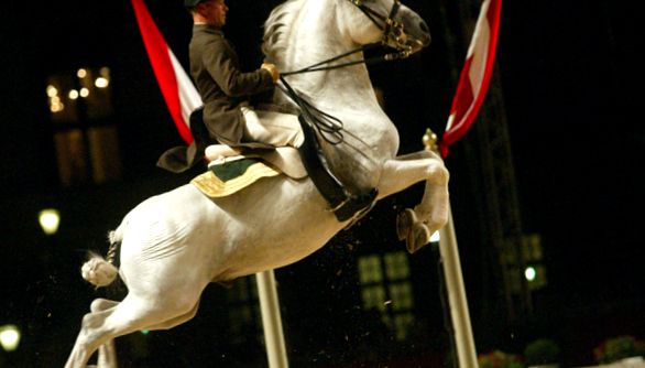 Cal Lipizzan - întruchiparea harului și frumuseții frumuseţe
