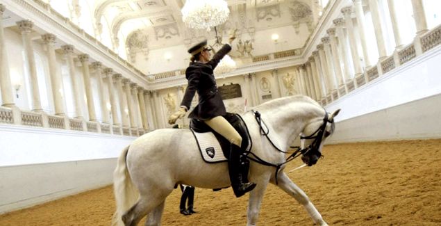Cal Lipizzan - întruchiparea harului și frumuseții frumuseţe