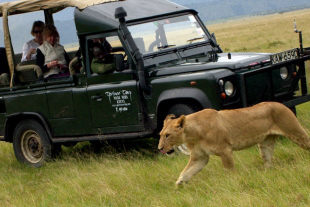Rezervația de joc Masai Mara maasai