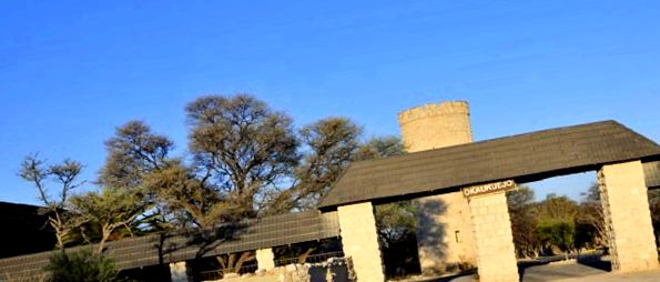 Enciclopedia animalelor din Parcul Național Etosha un parc