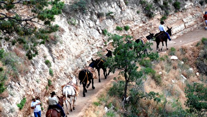 Parcul Național Grand Canyon este o rezervație geologică impunătoare. Naţional
