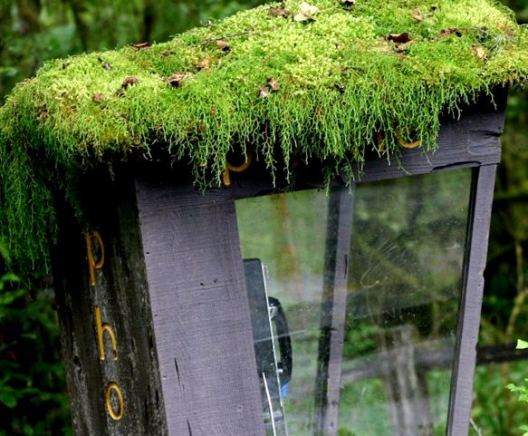 Parc național olimpic călătorie într-un basm călătorie