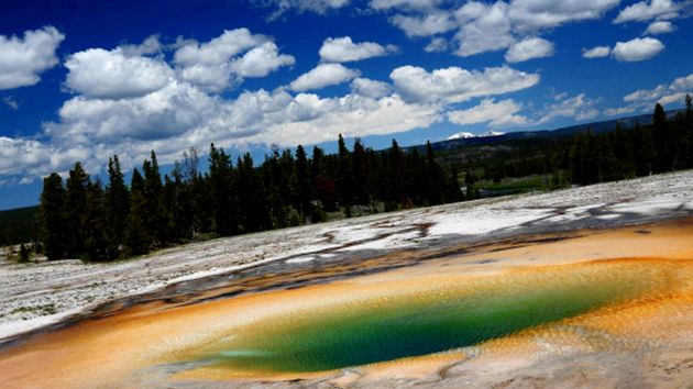Parcul Național Yellowstone este cea mai populară rezervație naturală din lume galben
