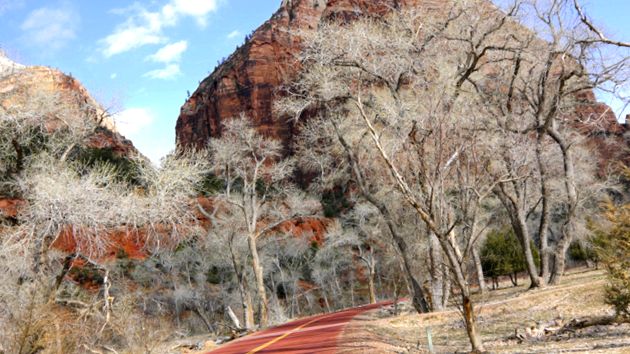 Zion National Park - Călătorie în vestul american Naţional
