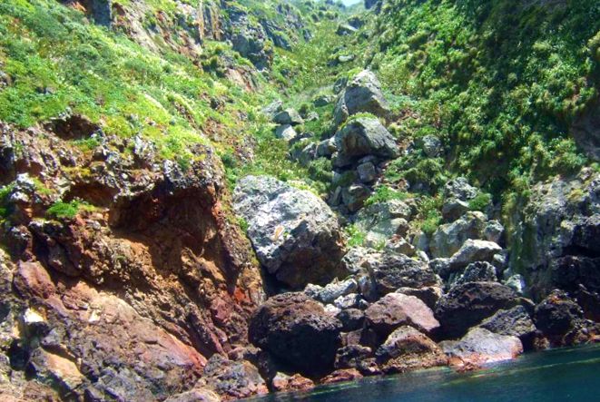 Insulele Cavalerilor Săraci sunt o destinație excelentă de scufundări în Noua Zeelandă. sărac