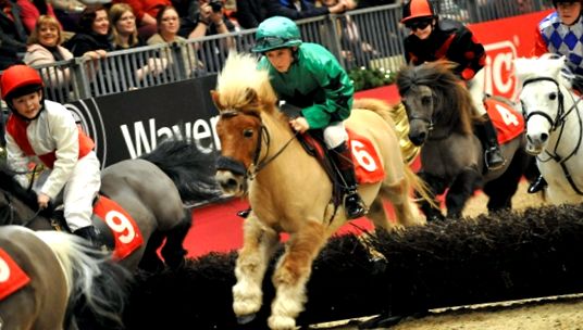 Shetland Pony - Babe cu sufletul unui cal mare ponei