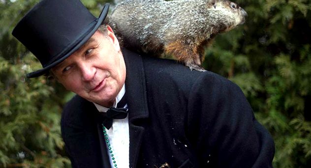 Marmotele sunt cele mai mari căprioare din lumea animalelor animal