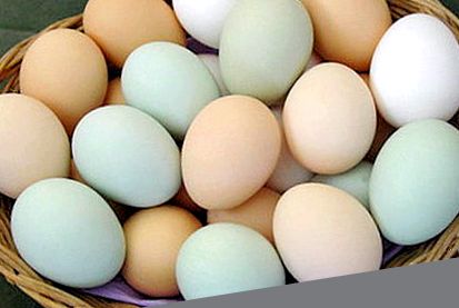 Indicatori de calitate a ouălor Enciclopedia animalelor ou