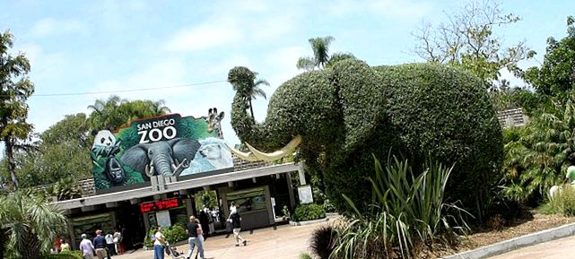 Zoo San Diego - tehnologie de ultimă oră pentru natură prima linie
