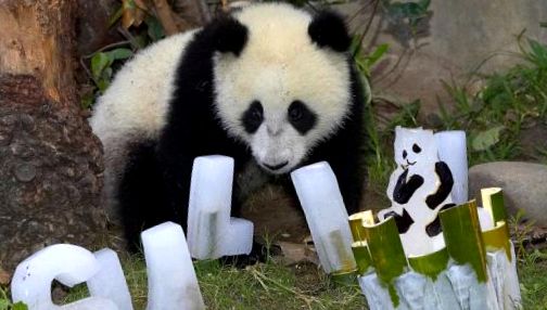 Zoo San Diego - tehnologie de ultimă oră pentru natură tehnologie