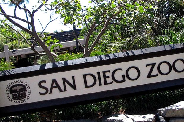 Zoo San Diego - tehnologie de ultimă oră pentru natură prima linie